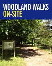 woodland walks on-site